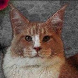 I'Ron of CaDazz